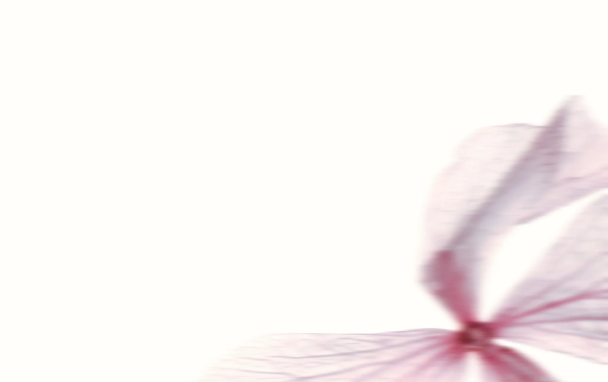 Breathe Yoga: Vision