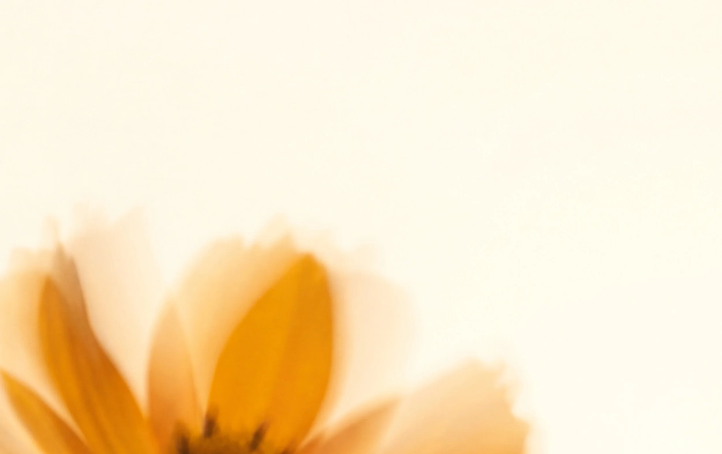 Breathe Yoga: Surfaces