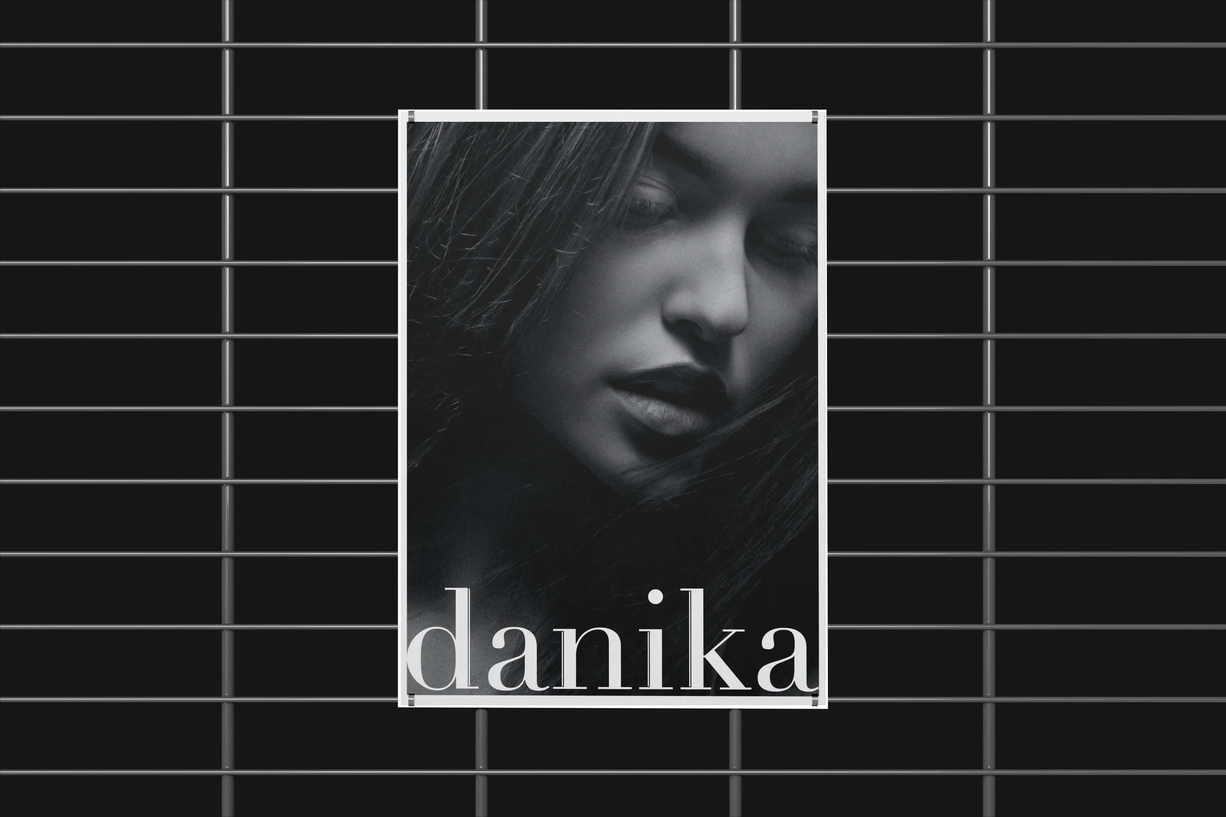 Danika: Surfaces