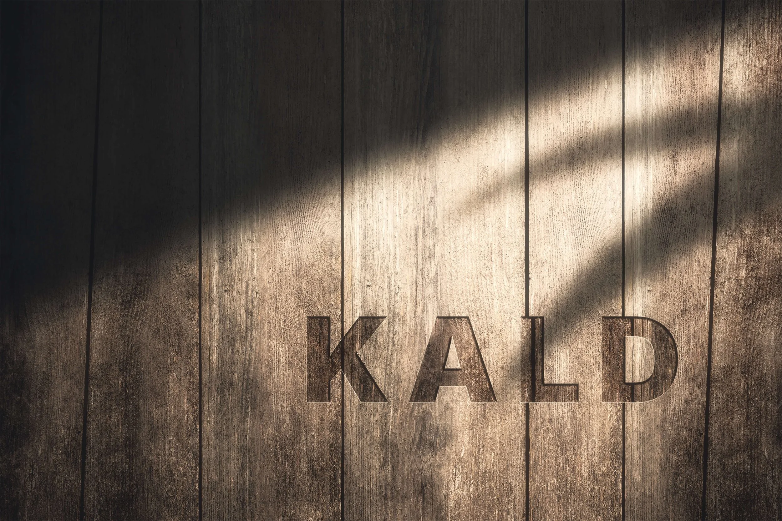 KALD: Vision