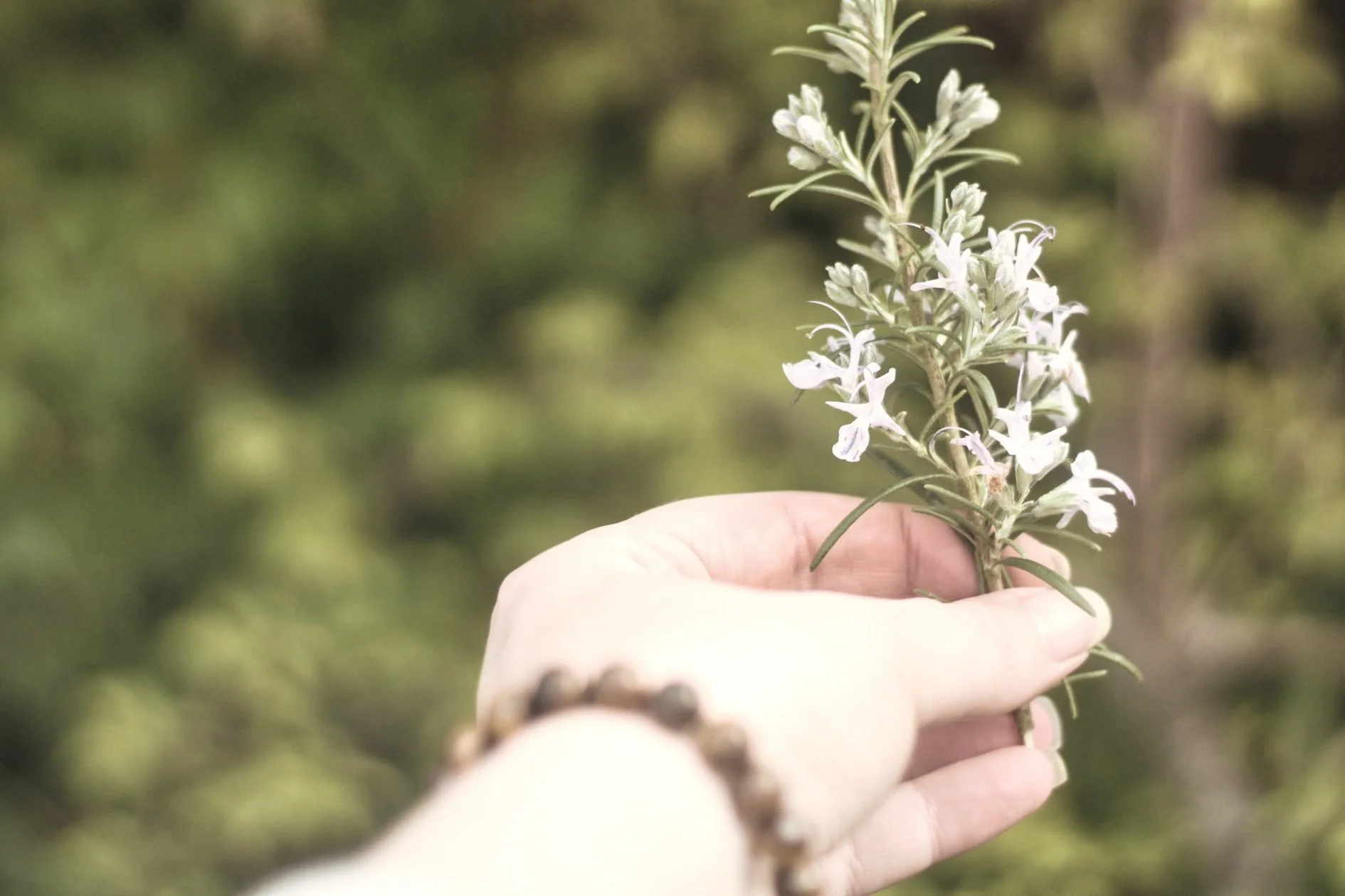 Nature with Nicola: Objective