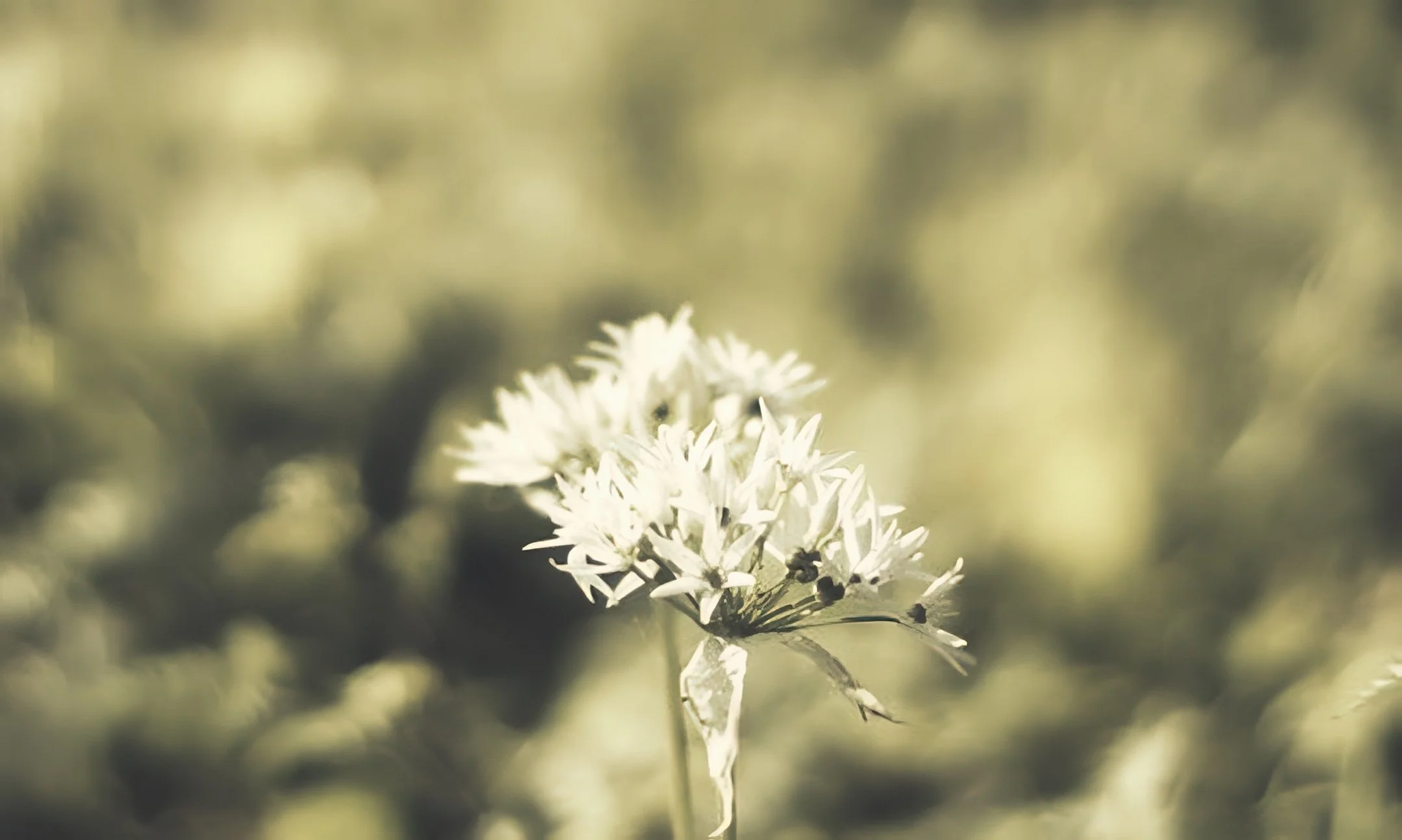 Nature with Nicola